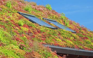 Millington living roof systems
